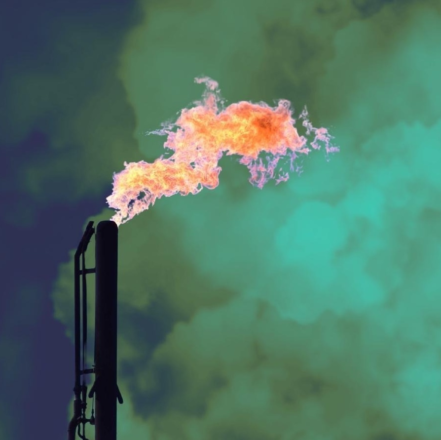 Methane duplicity crop